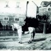 Fastnacht 1930-II - 38